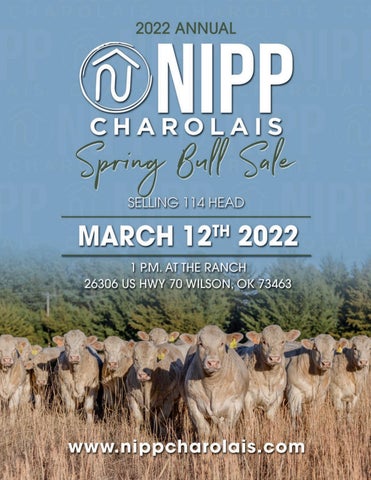 Nipp Charolais - 2022 Spring Sale