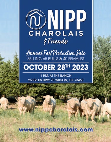 Nipp Charolais - 2023 Fall Sale Catalog