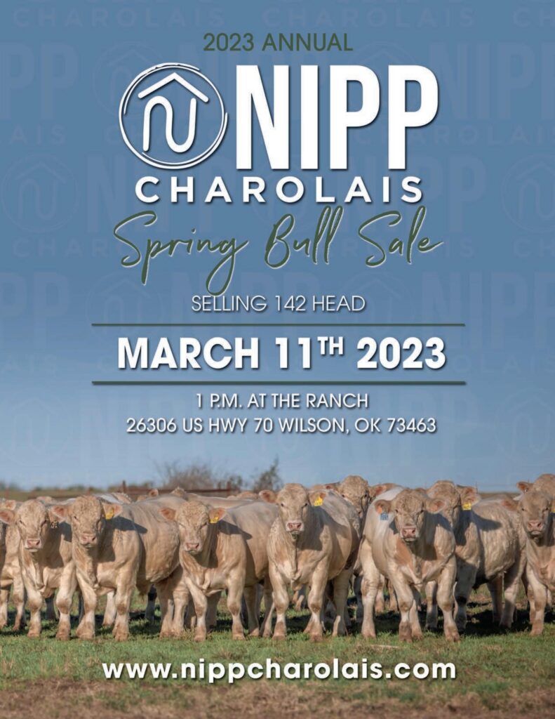 Nipp Charolais - 2023 Spring Sale
