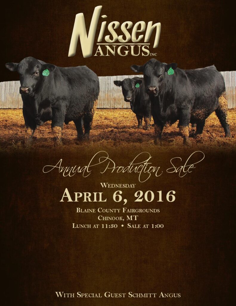 Nissen Angus - 2016 Production Sale