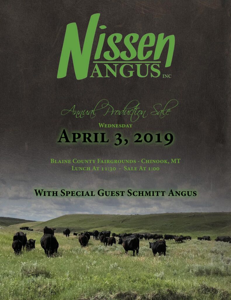 Nissen Angus - 2019 Production Sale