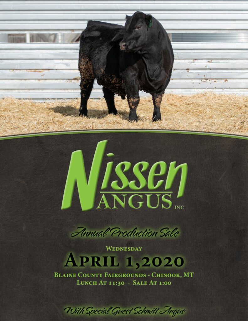 Nissen Angus - 2020 Spring Sale