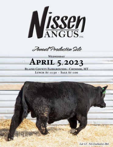 Nissen Angus - 2023 Spring Sale