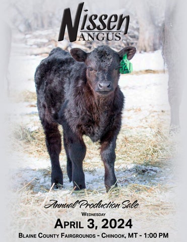 Nissen Angus Annual Production Sale