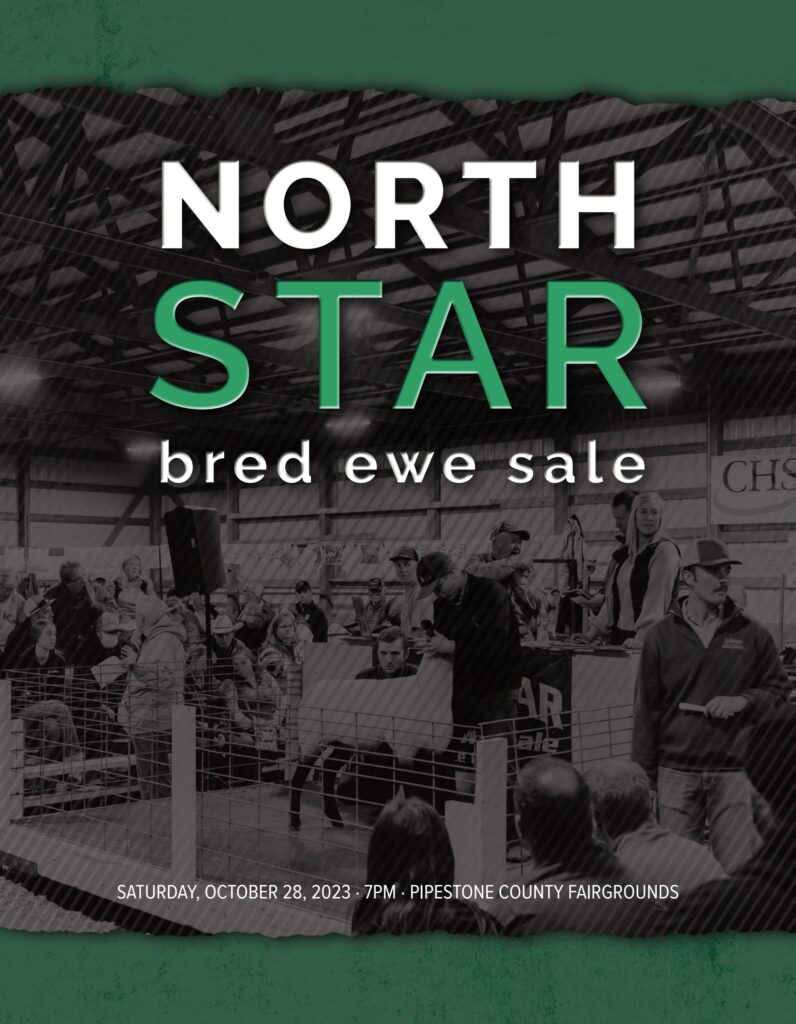 North Star Bred Ewe Sale - 2023 Fall Catalog