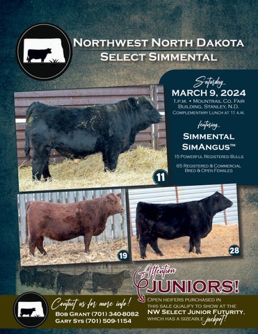 Northwest North Dakota Select Simmental Production Sale