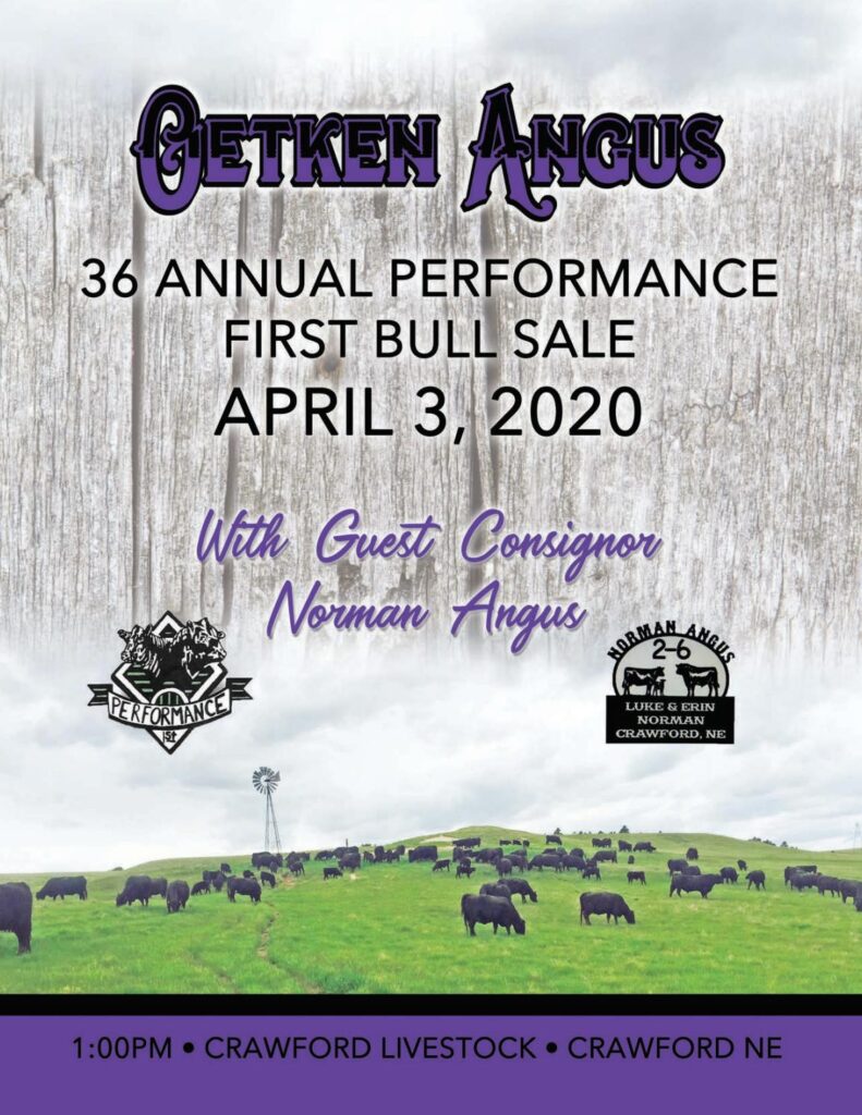 Oetken Angus - 2020 Performance First Bull Sale