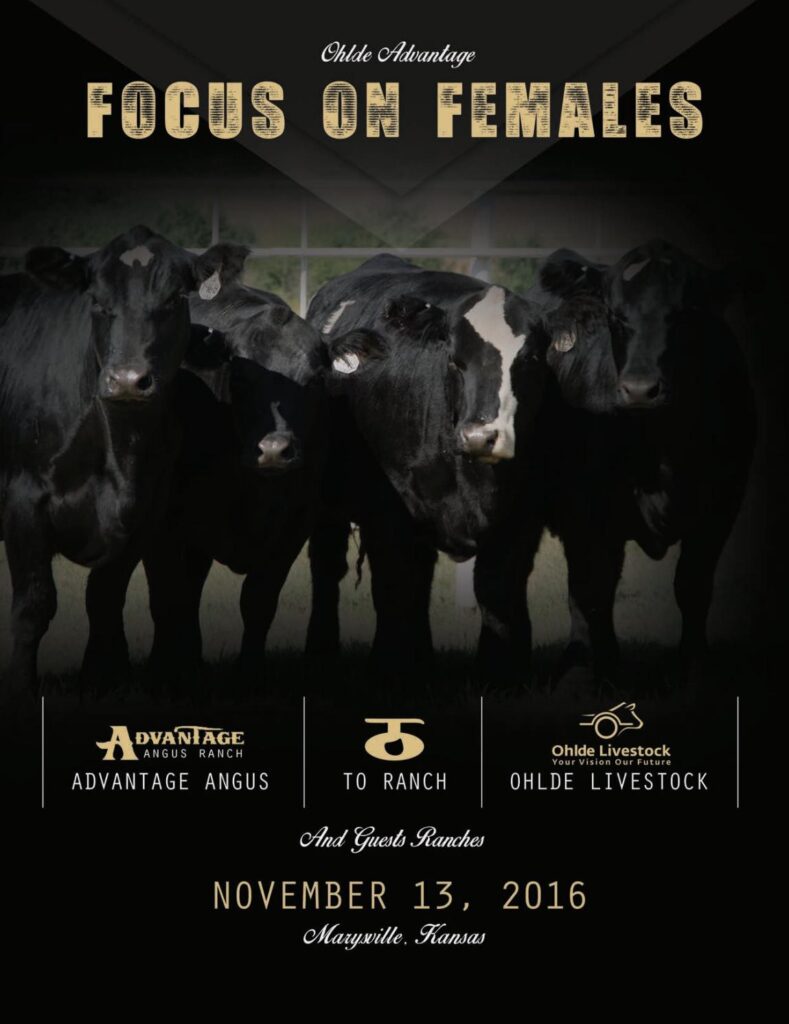 Ohlde Advantage - 2016 Focus on Females Sale