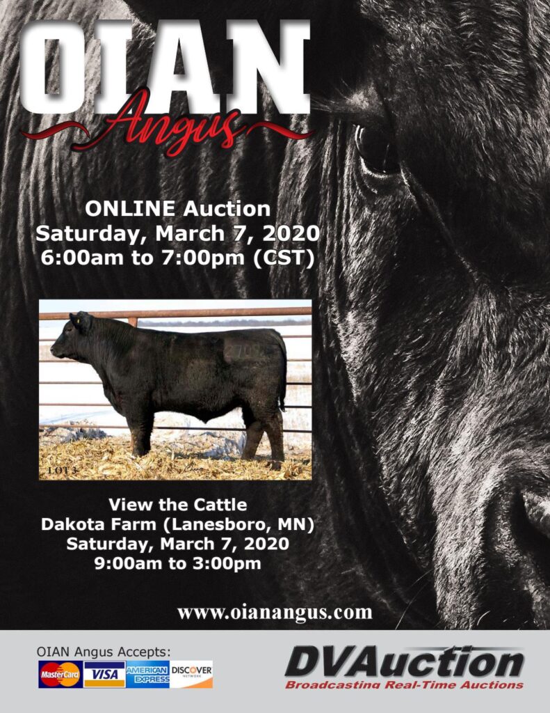 Oian Angus - 2020 Sale