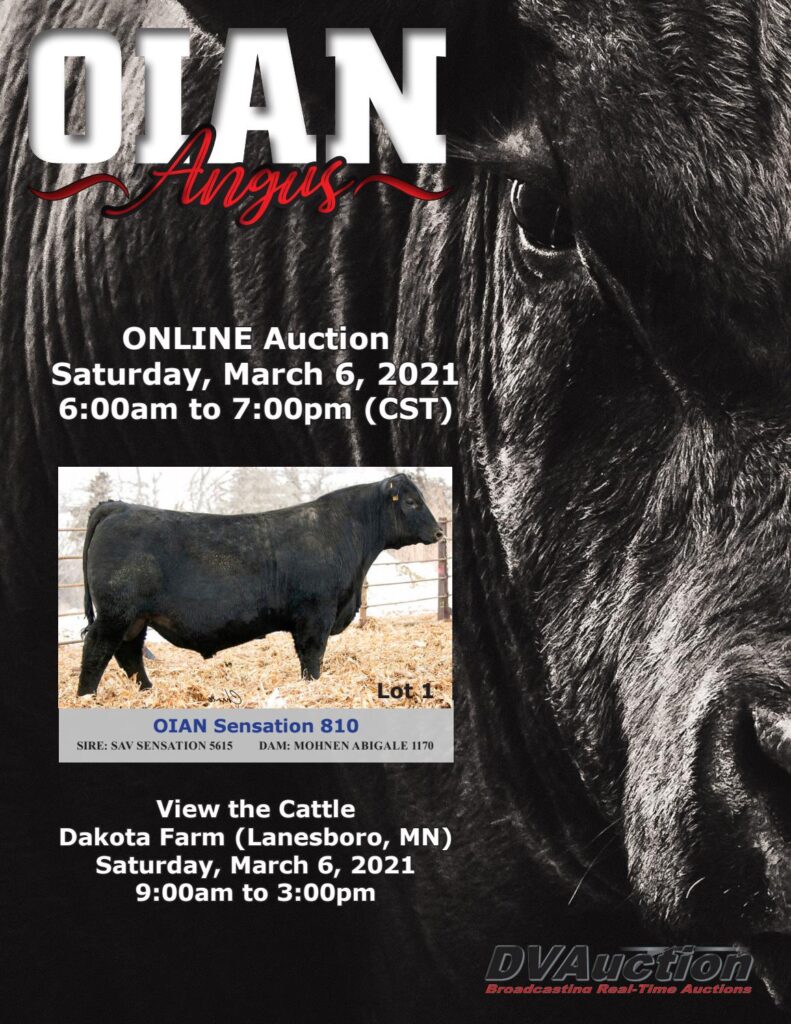 Oian Angus - 2021 Spring Sale