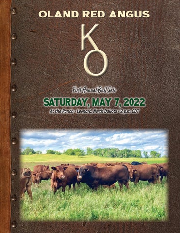 Oland Red Angus - 2022 Spring Sale