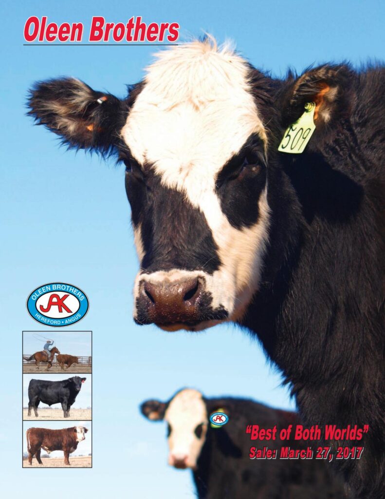 Oleen Brothers - 2017 "Best of Both Worlds" Sale