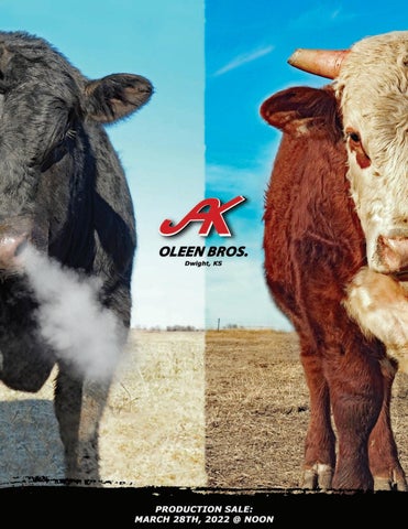 Oleen Brothers - 2022 Spring Sale