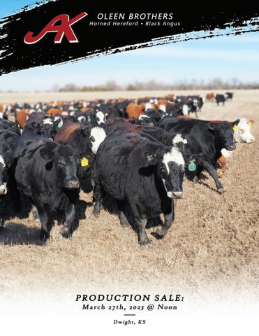 Oleen Brothers - 2023 Spring Sale