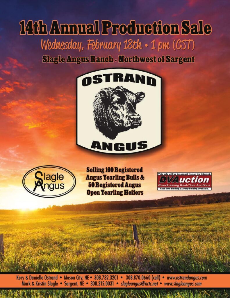 Ostrand Angus - 14th Annual Production Sale
