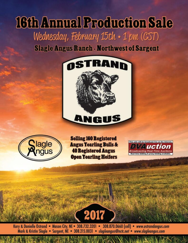 Ostrand Angus - 2017 Bull Sale