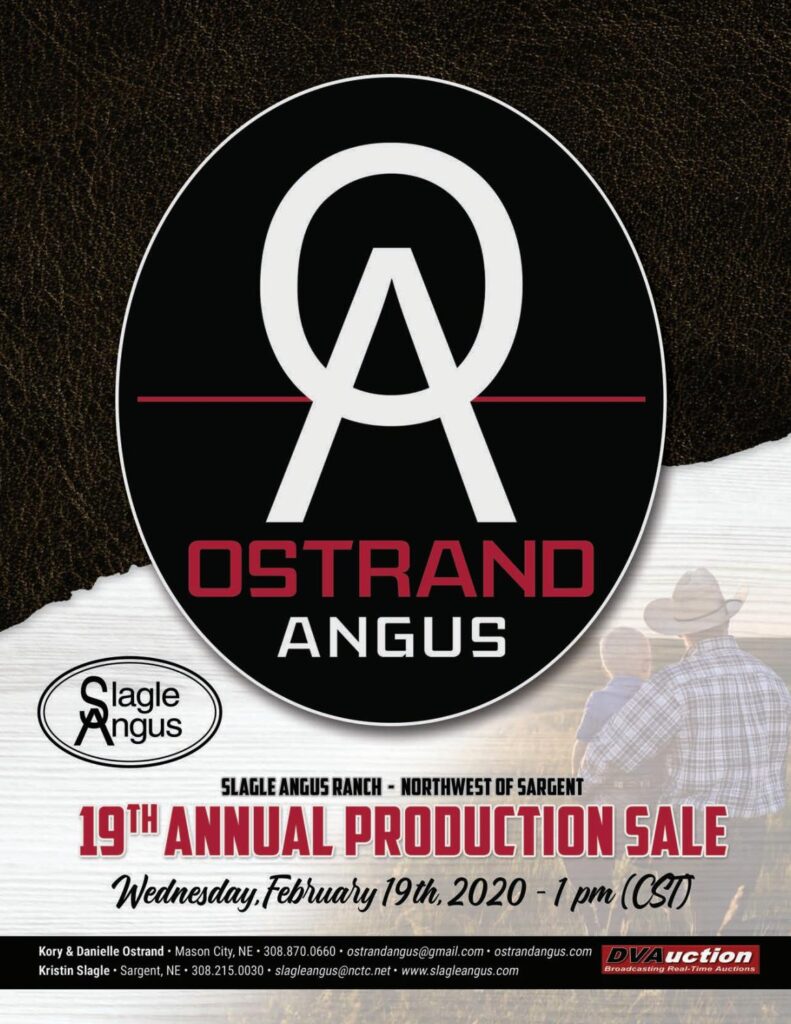 Ostrand Angus - 2020 Bull Sale