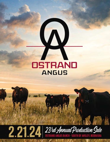 Ostrand Angus 23rd Annual Production Sale