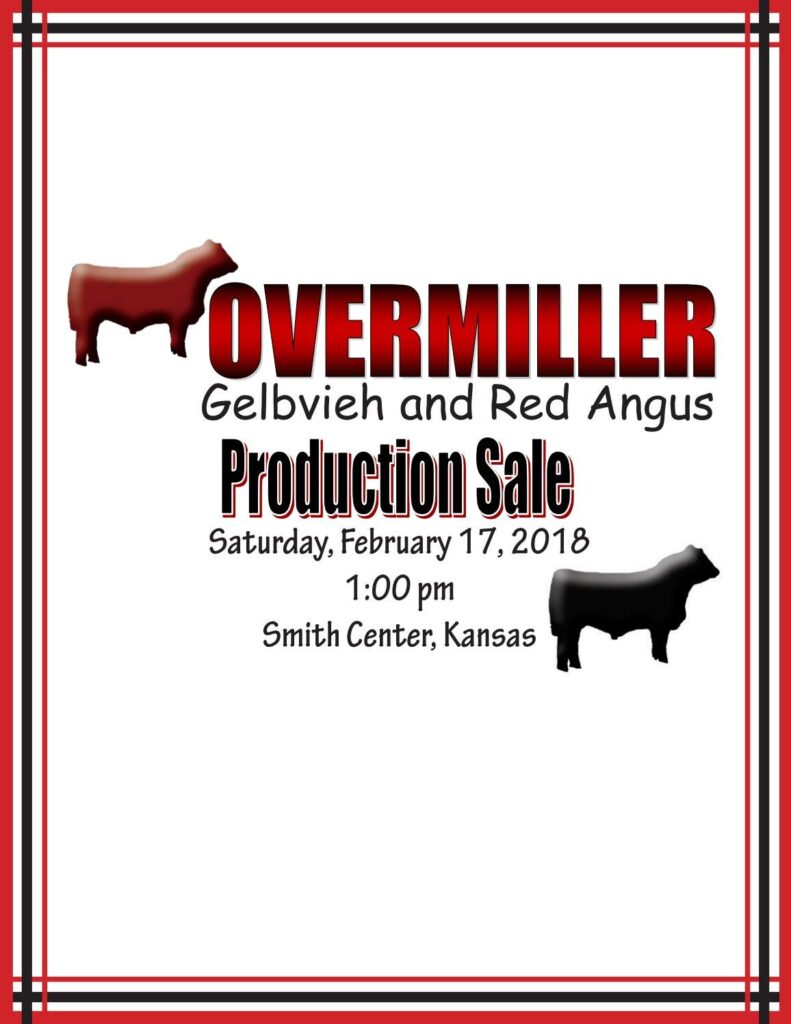Overmiller Gelbvieh & Red Angus - 2018 Bull Sale