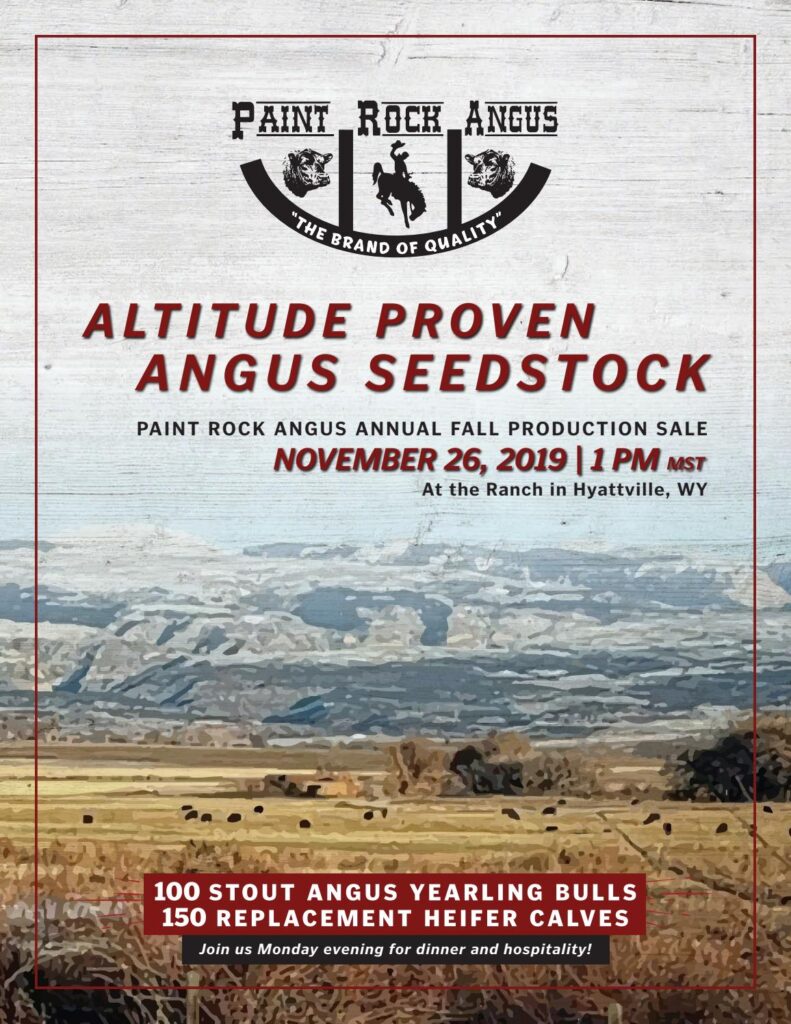 Paint Rock Angus Ranch - 2019 Fall Sale