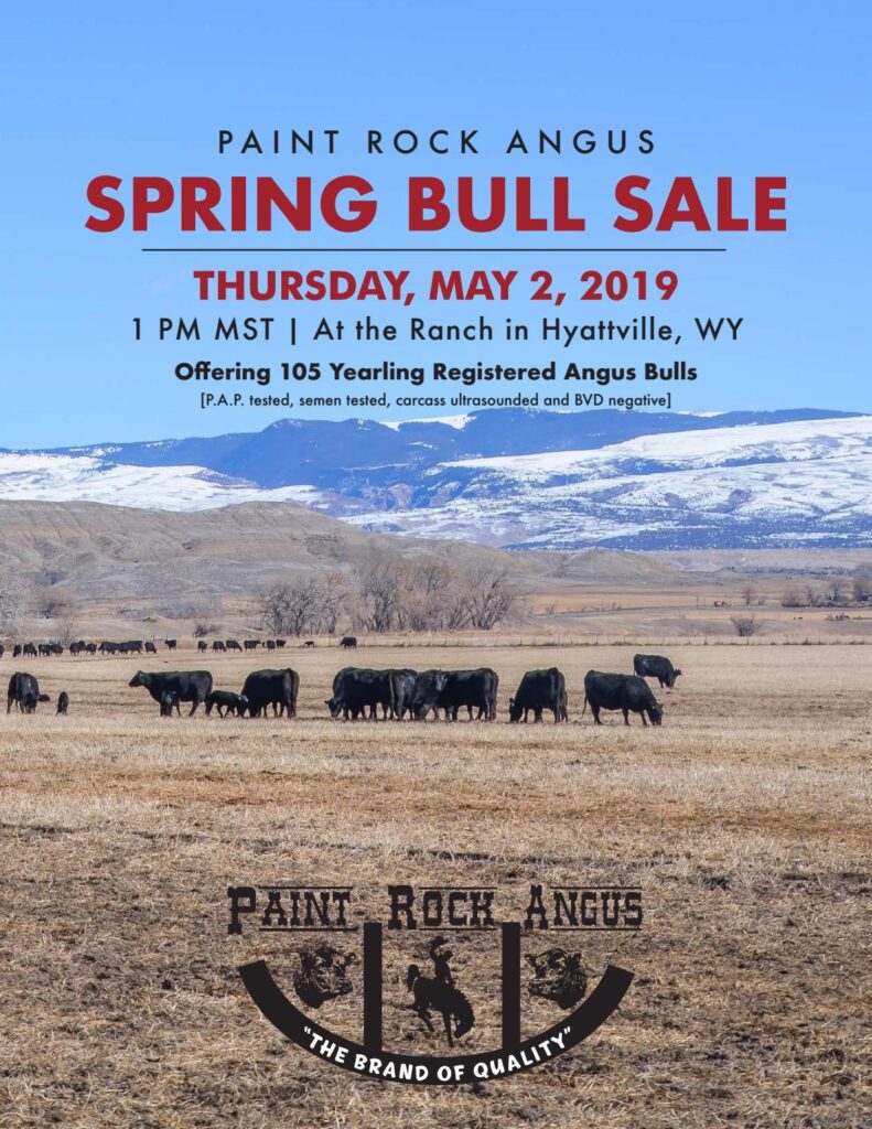 Paint Rock Angus Ranch - 2019 Sale