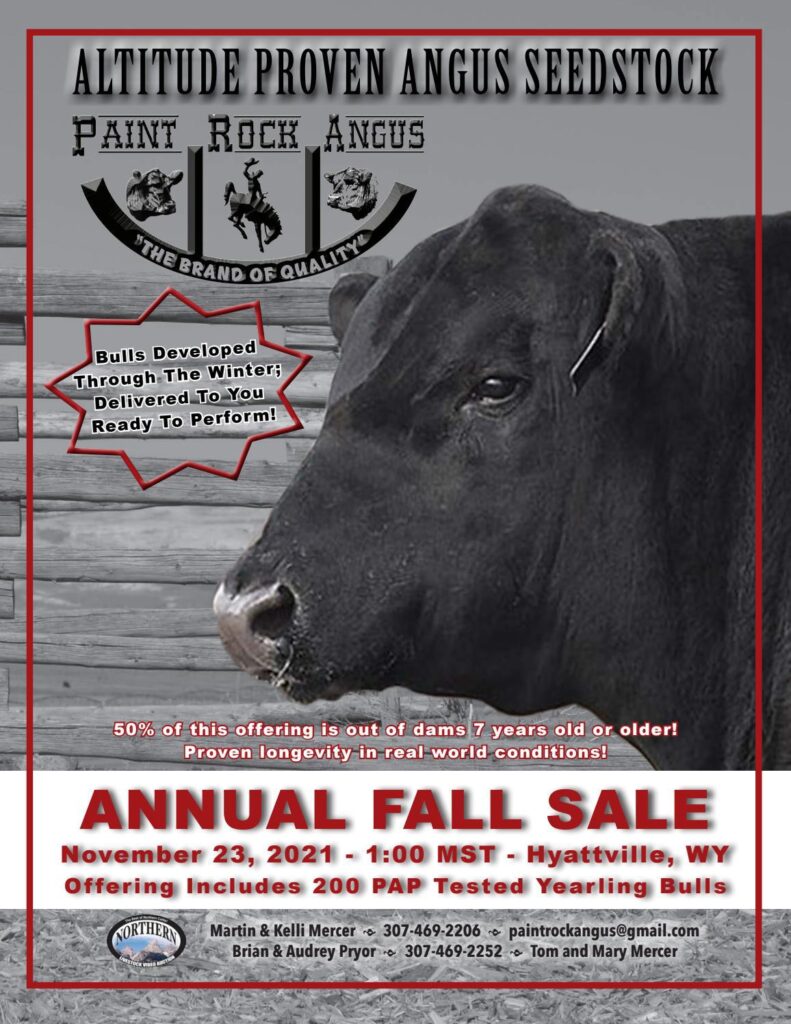 Paint Rock Angus Ranch - 2021 Fall Sale