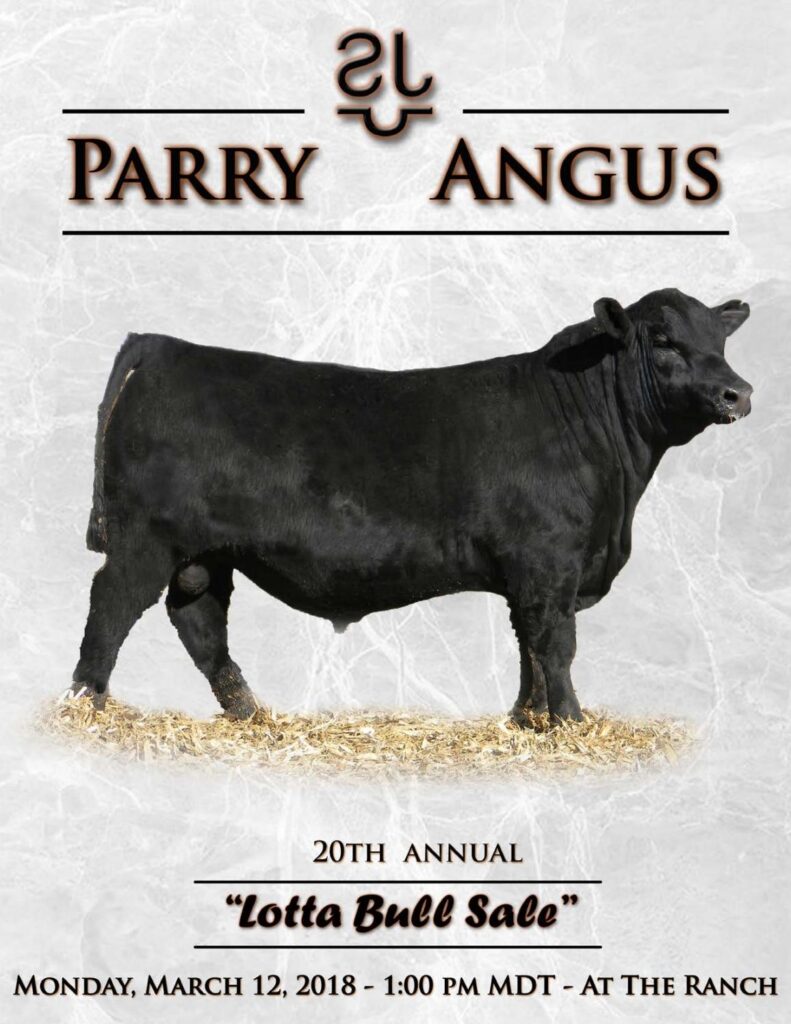 Parry Angus - 2018 Bull Sale