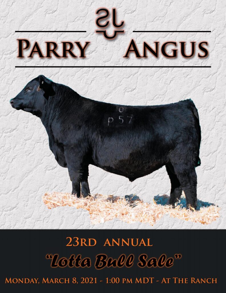 Parry Angus - 2021 Spring Sale