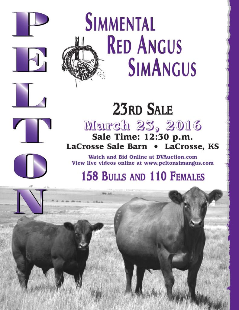 Pelton Simmental & Red Angus - 23rd Annual Bull Sale
