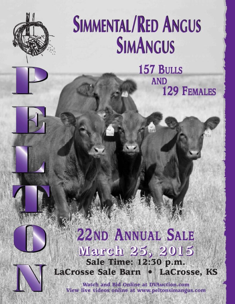 Pelton Simmental/Red Angus - 22nd Annual Production Sale
