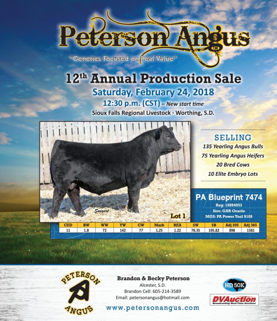 Peterson Angus - 2018 Bull Sale
