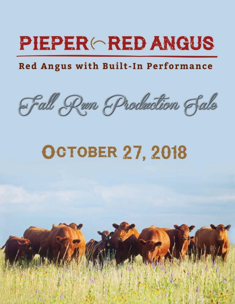 Pieper Red Angus - 2018 Fall Bull Sale