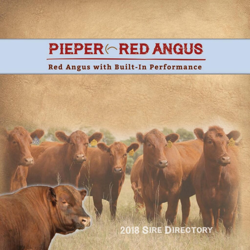 Pieper Red Angus - 2018 Semen Guide