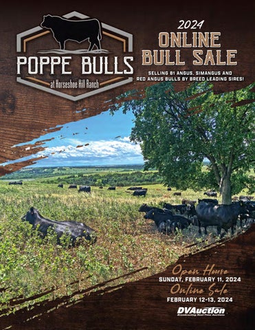 Poppe Bulls 2024 Online Bull Sale