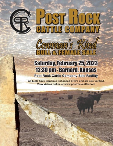 Post Rock Cattle Co - 2023 Sale