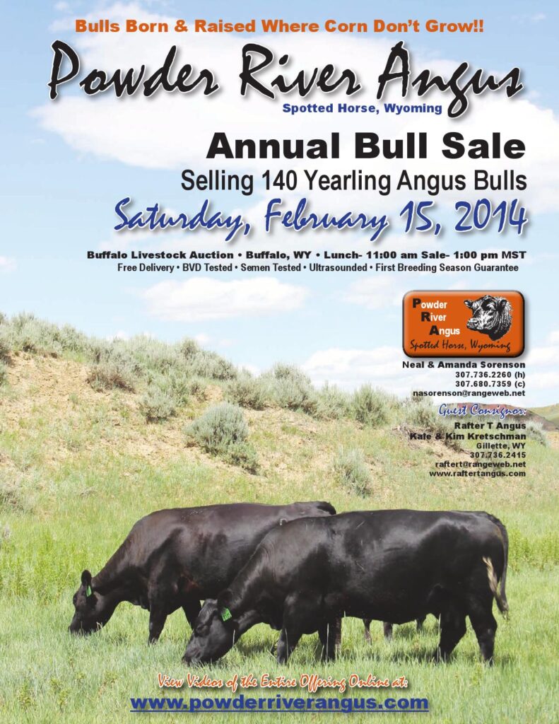 Powder River Angus - 2014 Annual Bull Sale