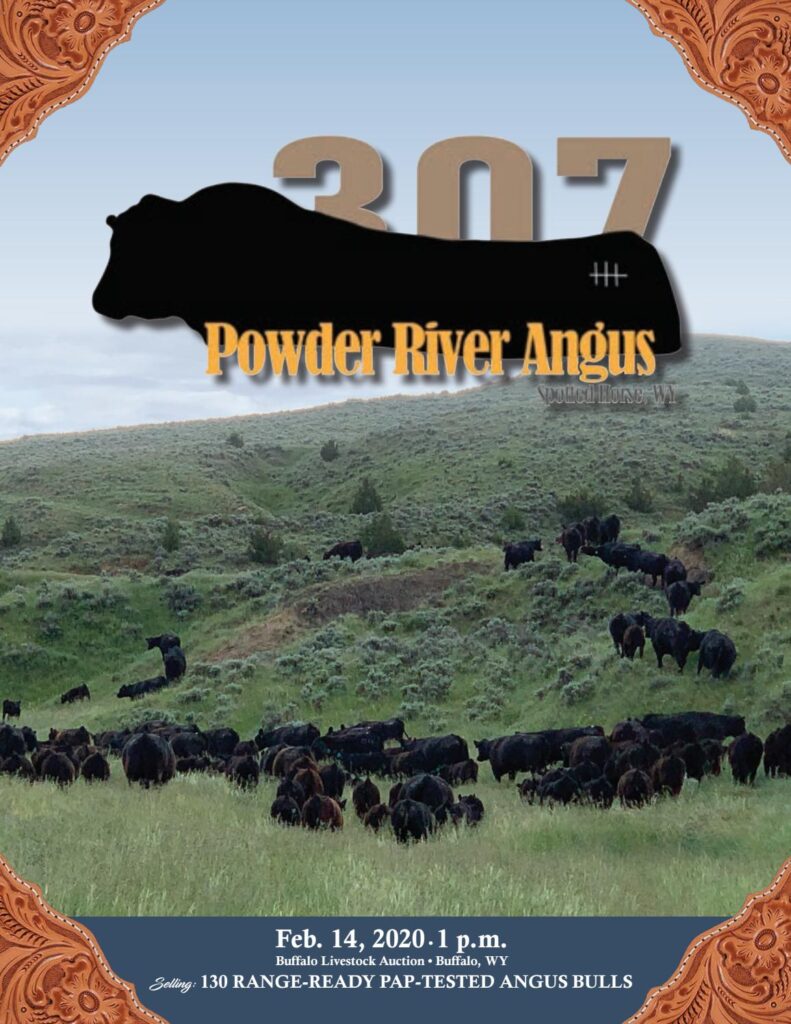 Powder River Angus - 2020 Sale