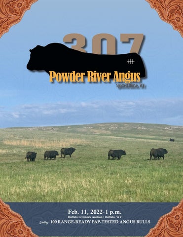 Powder River Angus - 2022 Spring Sale