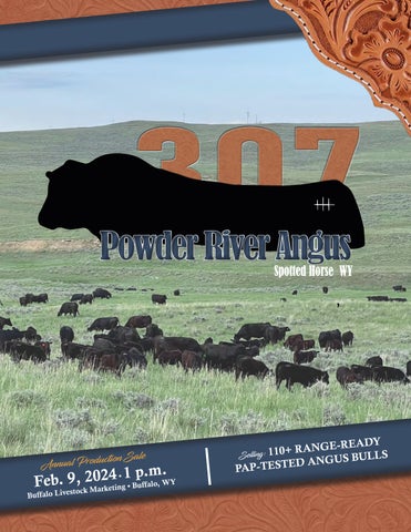 Powder River Angus Annual Production Sale