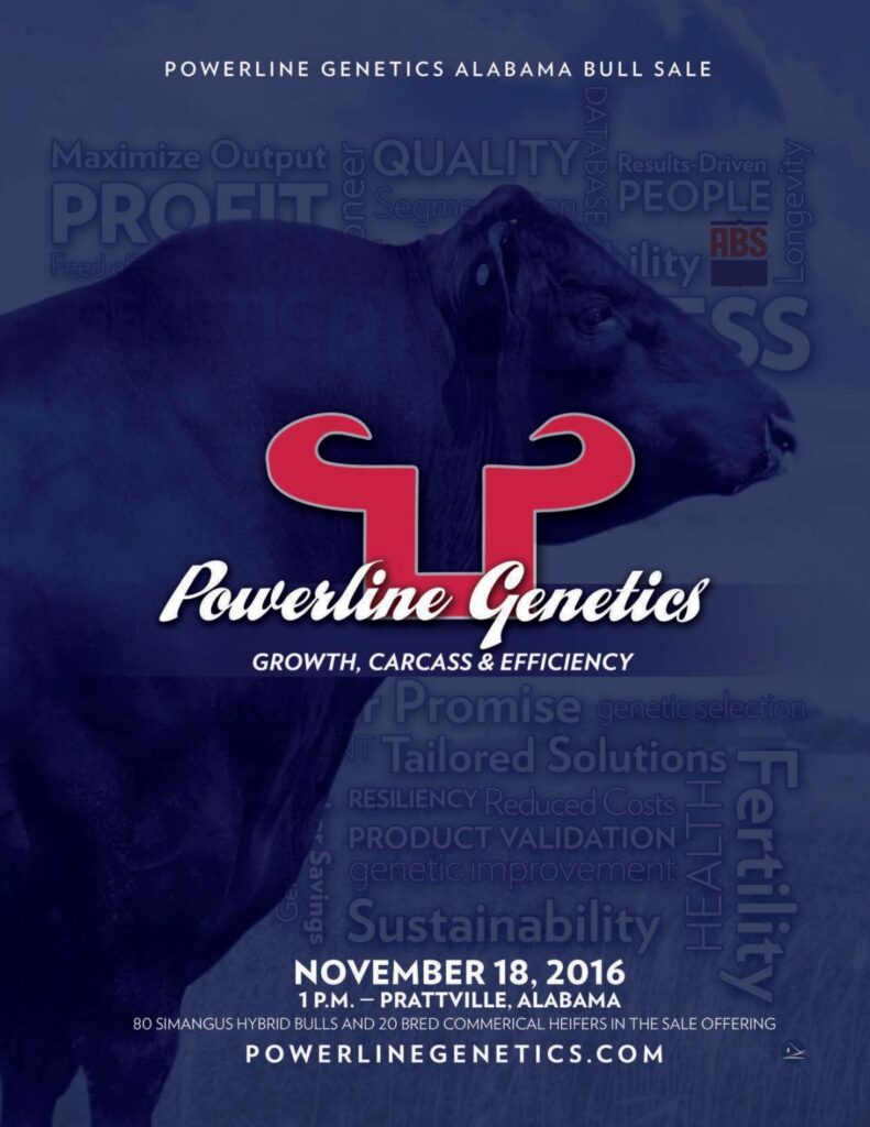 Powerline Beef Genetics - 2016 Alabama Bull Sale