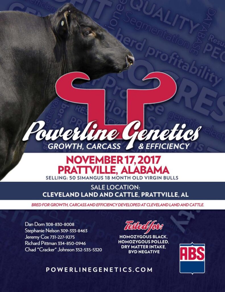 Powerline Beef Genetics - 2017 Prattville Bull Sale