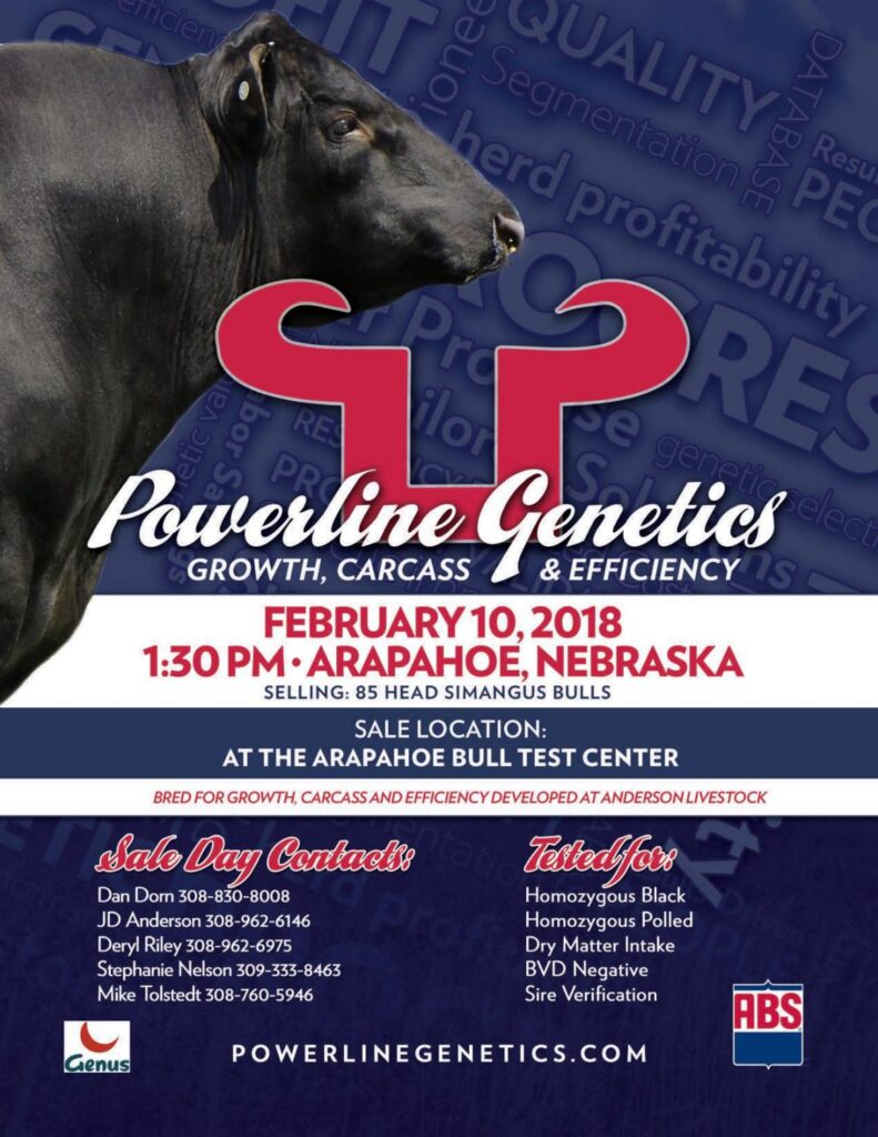 Powerline Beef Genetics - 2018 Arapahoe NE Bull Sale