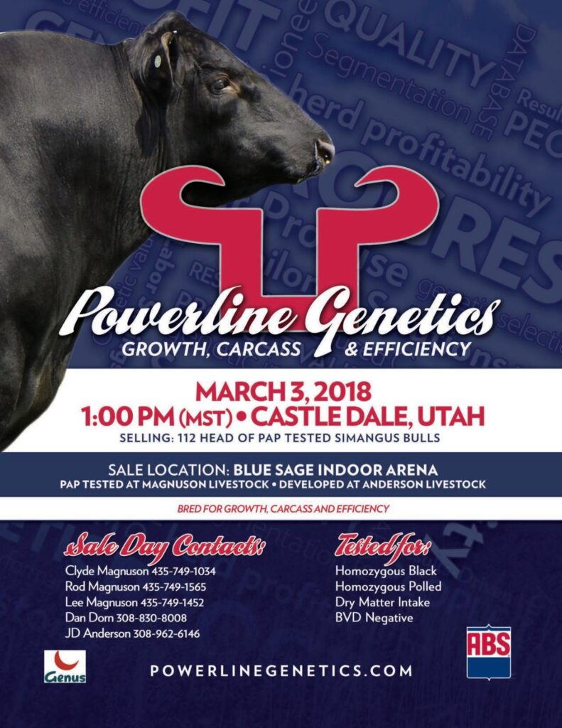 Powerline Beef Genetics - 2018 Castle Dale, UT Bull Sale