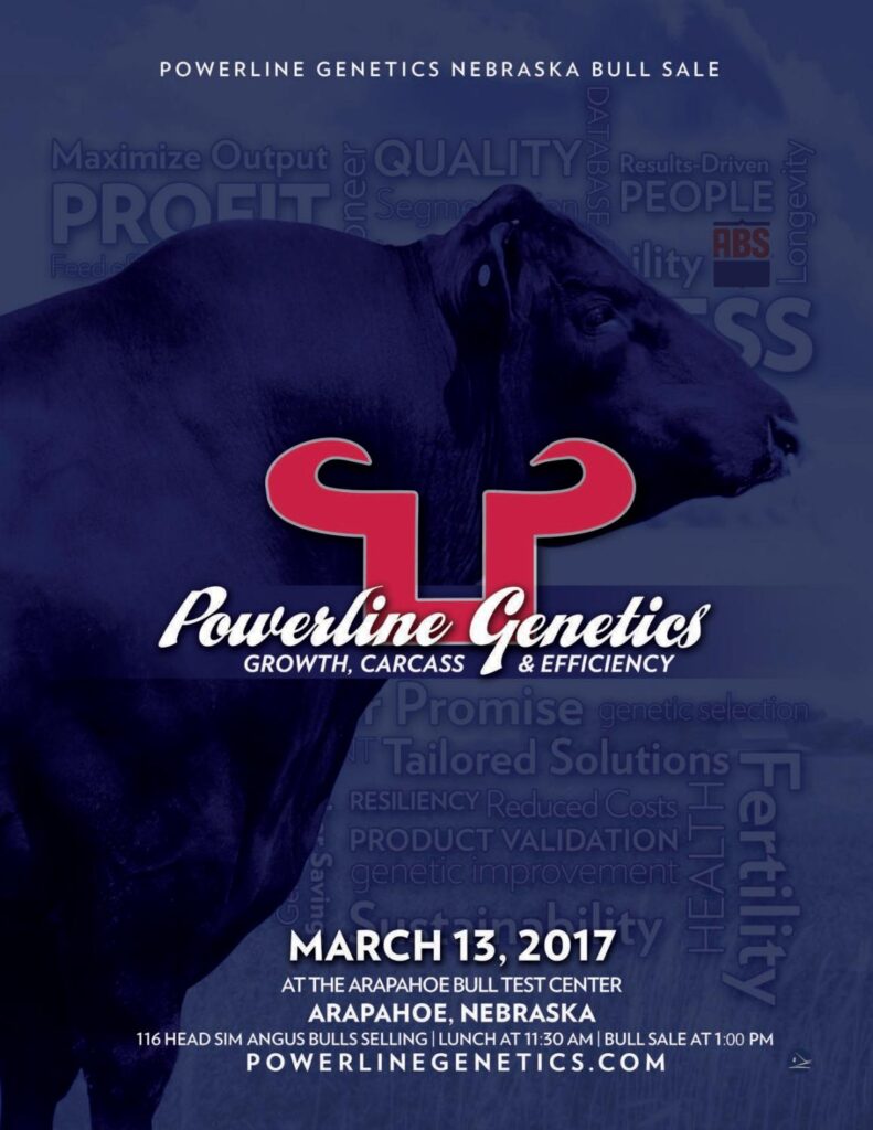Powerline Genetics - March 2017 Arapahoe Nebraska Bull Sale
