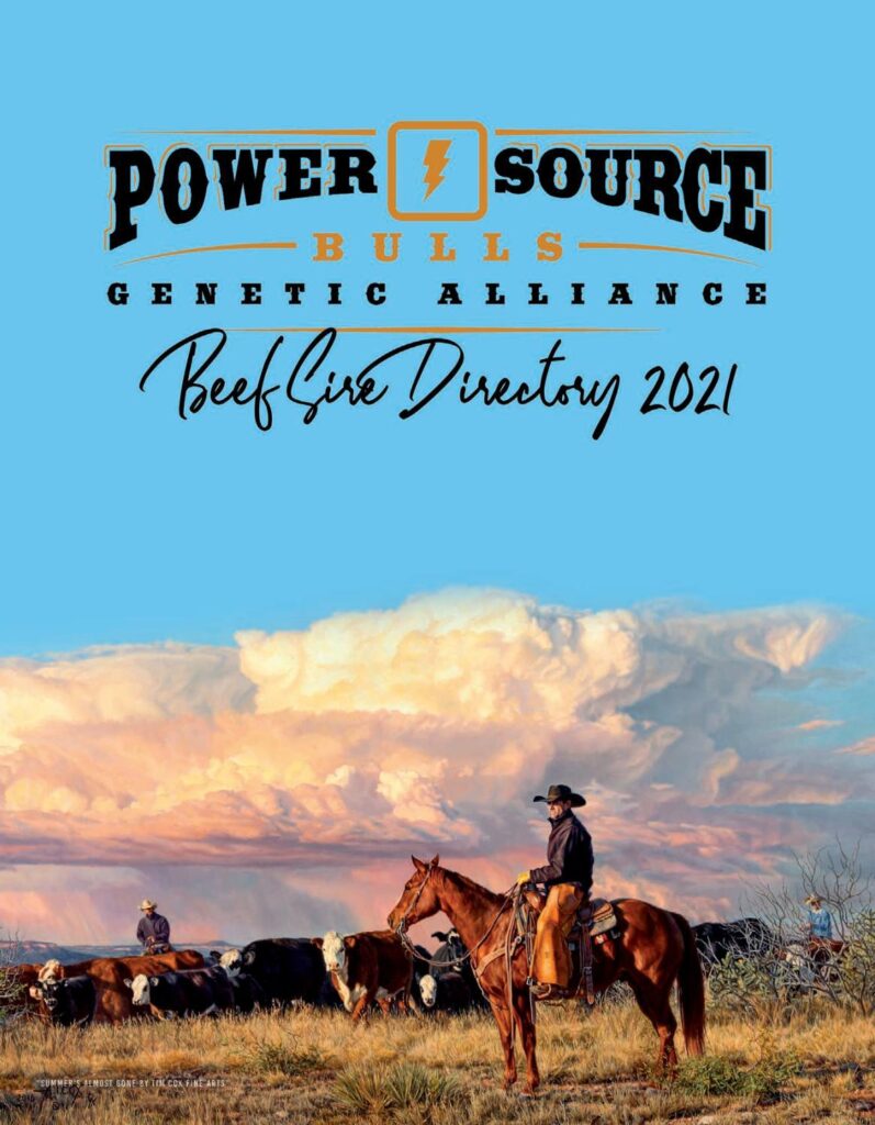 Powersource - 2021 Bull Directory