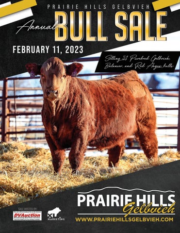 Prairie Hills Gelbvieh - 2023 Spring Sale