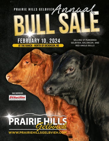 Prairie Hills Gelbvieh Annual Bull Sale