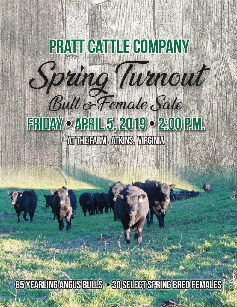Pratt Cattle Company - 2019 Spring Bull Sale