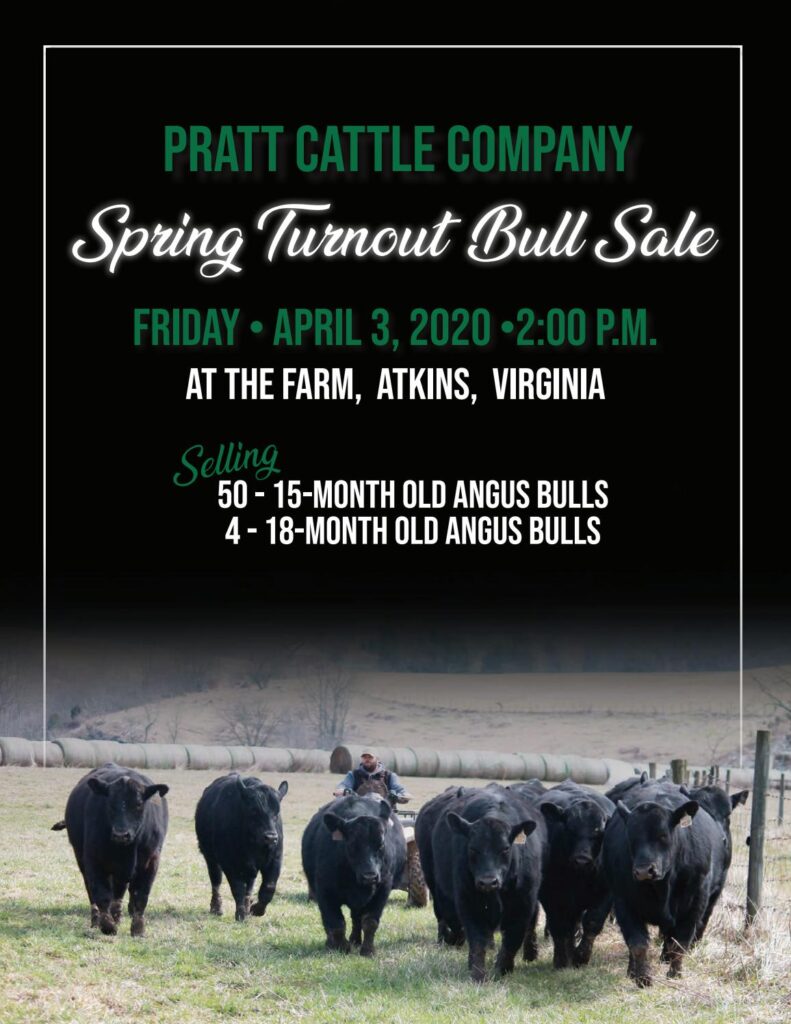 Pratt Cattle Company - 2020 Spring Sale