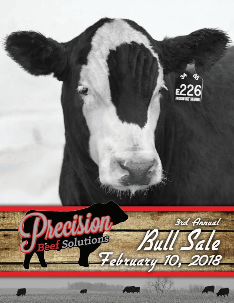 Precision Beef Solutions - 2018 Sale